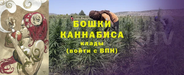 молекула духа Белокуриха