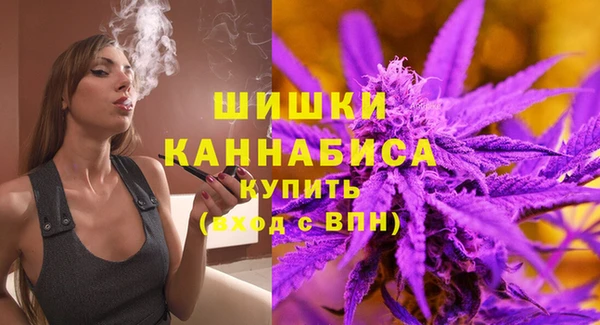 молекула духа Белокуриха