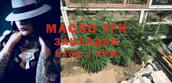 хмурый Пересвет