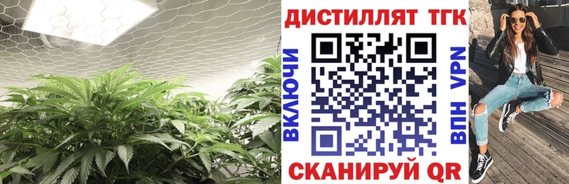 мега как зайти как найти Олёкминск ТГК гашишное масло